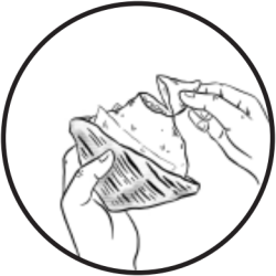 q2